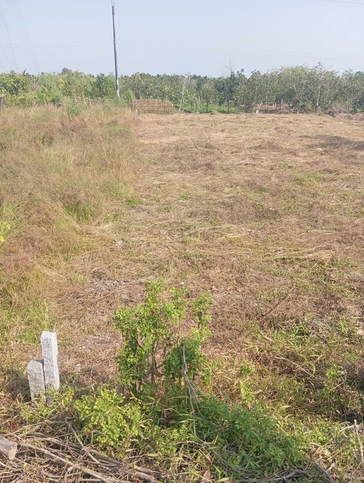 Đất thổ cư 198m² tại Đông Phước A, Châu Thành - Giá chỉ 490 triệu, cơ hội đầu tư tuyệt vời!