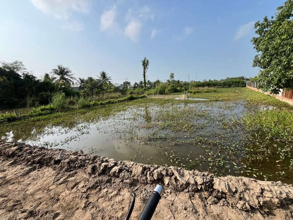 Đất nền 2100m² Thới Long, Ô Môn - Gần Quốc Lộ 91, Sẵn sàng đầu tư!