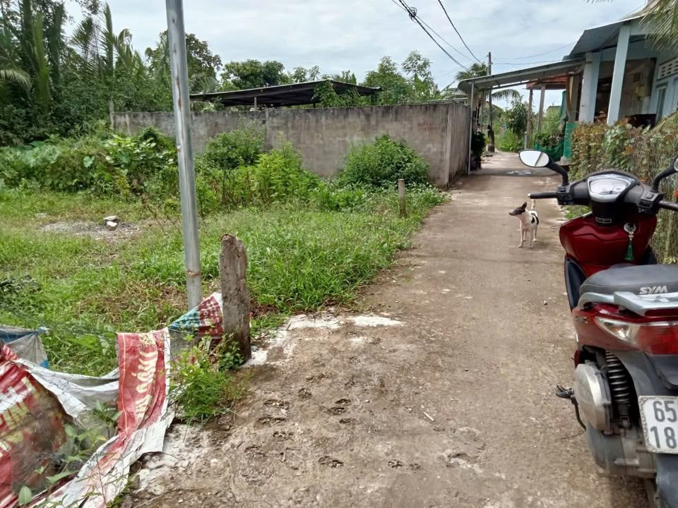 Đất thổ cư 145m² tại Phước Thới, Ô Môn - Giá chỉ 1.1 tỷ, thuận tiện cho đầu tư!