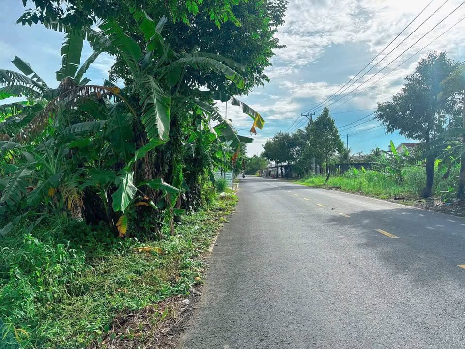 Đất nền Cần Thơ 2050m² giá 6 tỷ - Cơ hội đầu tư hiếm có!