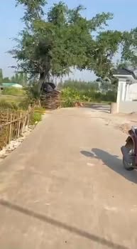 Đất nền Thanh Lương, Quang Thịnh, Lạng Giang 126m² chỉ từ 700 triệu - Đầu tư sinh lời hấp dẫn!