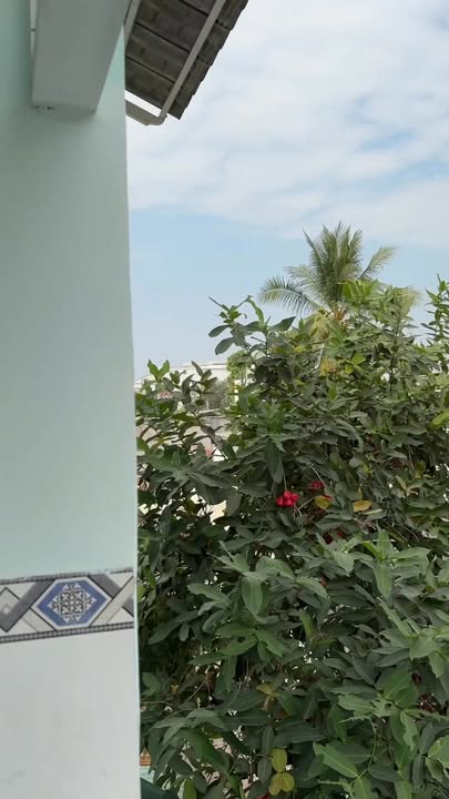 Nhà phố Gò Dầu 82m² giá 1.4 tỷ - Sổ hồng riêng chính chủ, tiện ích xung quanh đầy đủ!