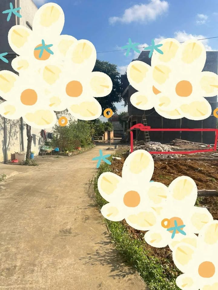 Đất thổ cư 60.1m² tại Bông Lau, Lạng Sơn - Giá chỉ 1.6 tỷ, đất đẹp cho đầu tư!