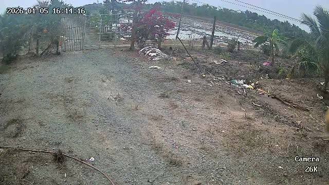 Đất nền 23.000m² tại Tân Hòa Thành, Tiền Giang - Sổ hồng riêng, giá chỉ 126.5 tỷ!