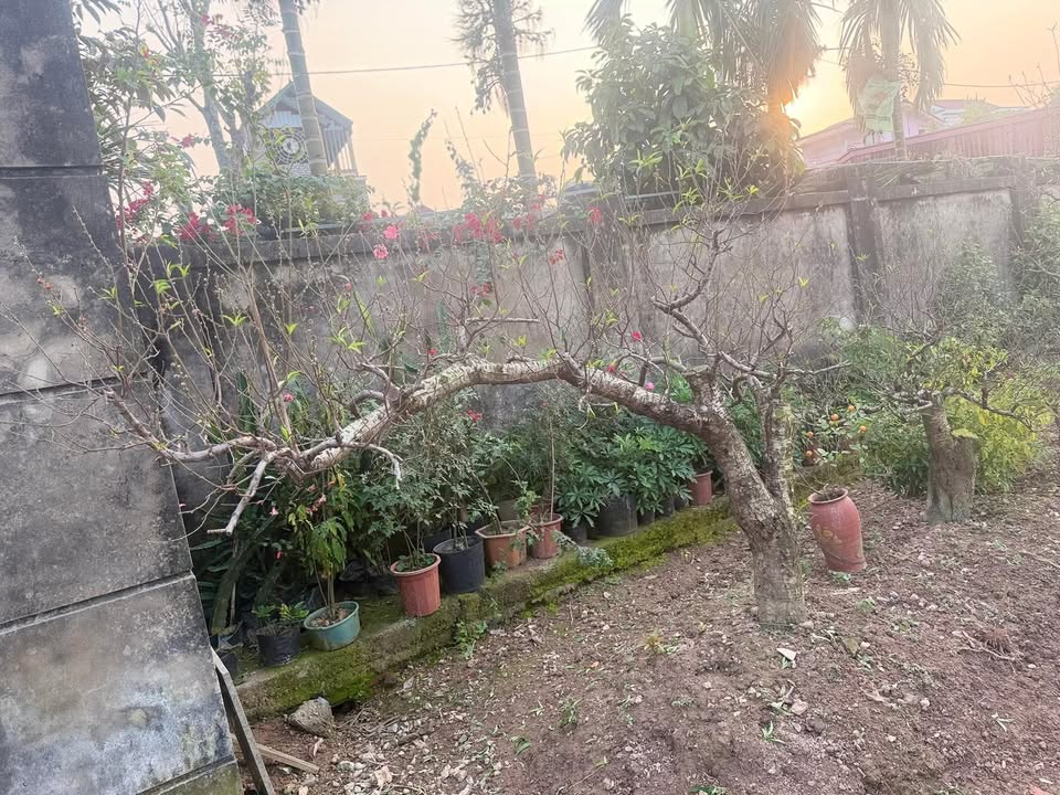 Đất nền Phù Yên, 77m² giá 1 tỷ - Cơ hội đầu tư sinh lời tuyệt vời!