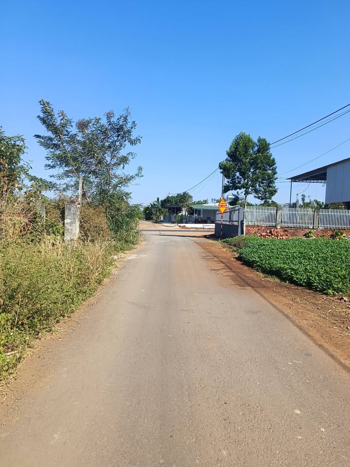 Lô đất thổ cư 210m² tại Xã Ea Kao - Giá chỉ 1.25 tỷ, cơ hội đầu tư tuyệt vời!