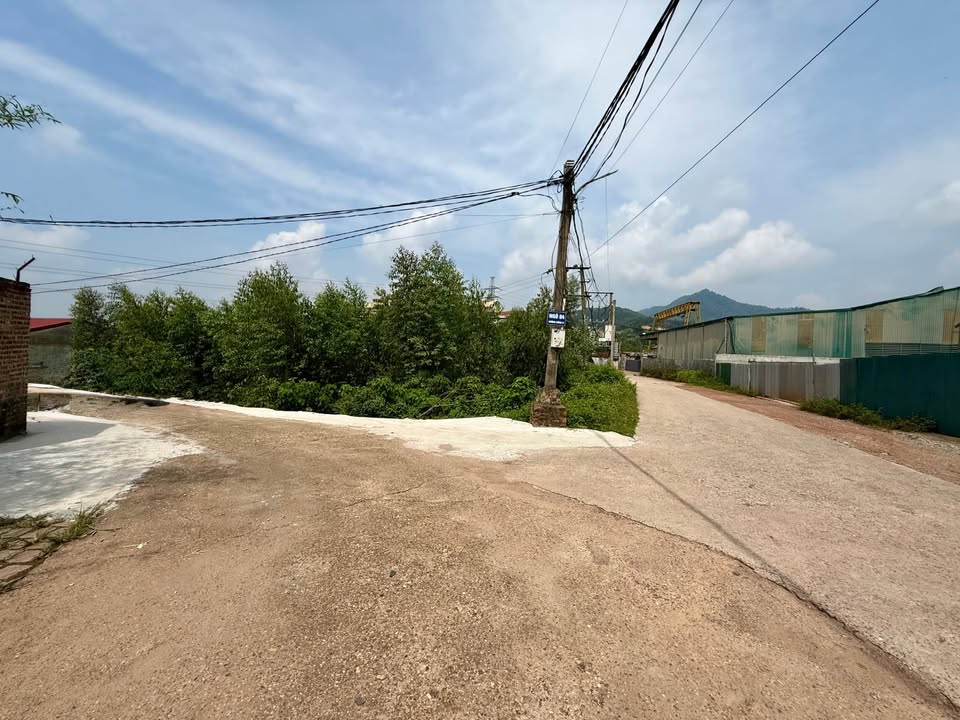 Đất nền lô góc tại Xã Minh Phú, Sóc Sơn 705m² - Đầu tư sinh lời tuyệt vời!