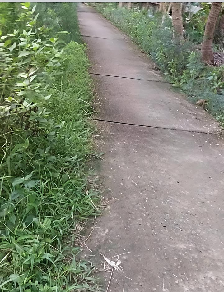 Đất thổ cư 300m² tại xã Thạnh Trị, huyện Bình Đại - Giá chỉ 1 tỷ!