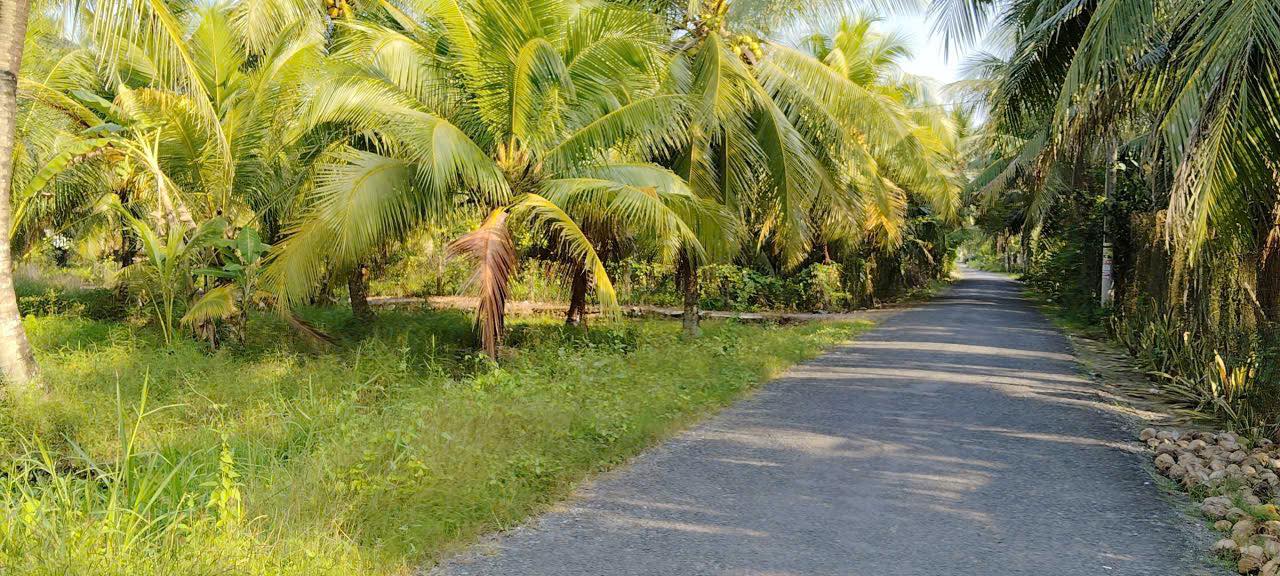 Bán đất mặt tiền Lộ Cơ Khí - Xã Bình Phú - Diện tích 1368m² giá chỉ 9.576 tỷ