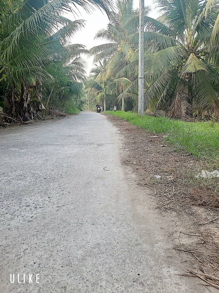 Đất Sơn Đông 1997m² giá 1.8 tỷ - Cơ hội đầu tư không thể bỏ lỡ!