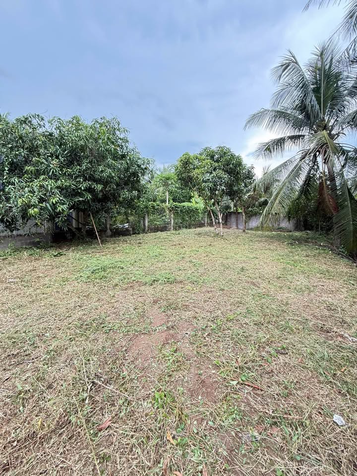 Đất nền mặt tiền Võ Văn Kiệt 736m² - Cơ hội đầu tư sinh lời!