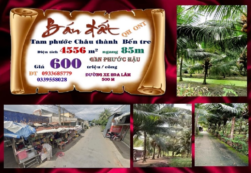 Đất vườn Dừa Tam Phước - Châu Thành - Bến Tre 4.556m² giá 2.739 tỷ - Vị trí đẹp, thoáng mát!