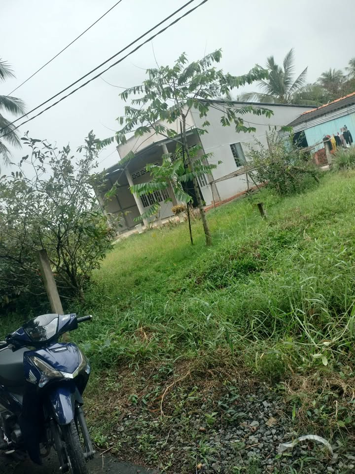 Đất thổ cư 133m² tại Bình Thọ Trung, Chợ Gạo - Giá chỉ 200 triệu, bán gấp!