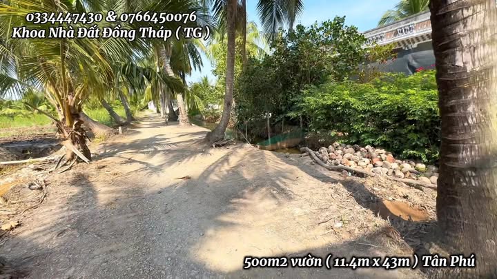 Đất vườn Tân Phú Đông 500m² giá chỉ 215 triệu - Đầu tư sinh lời ngay!