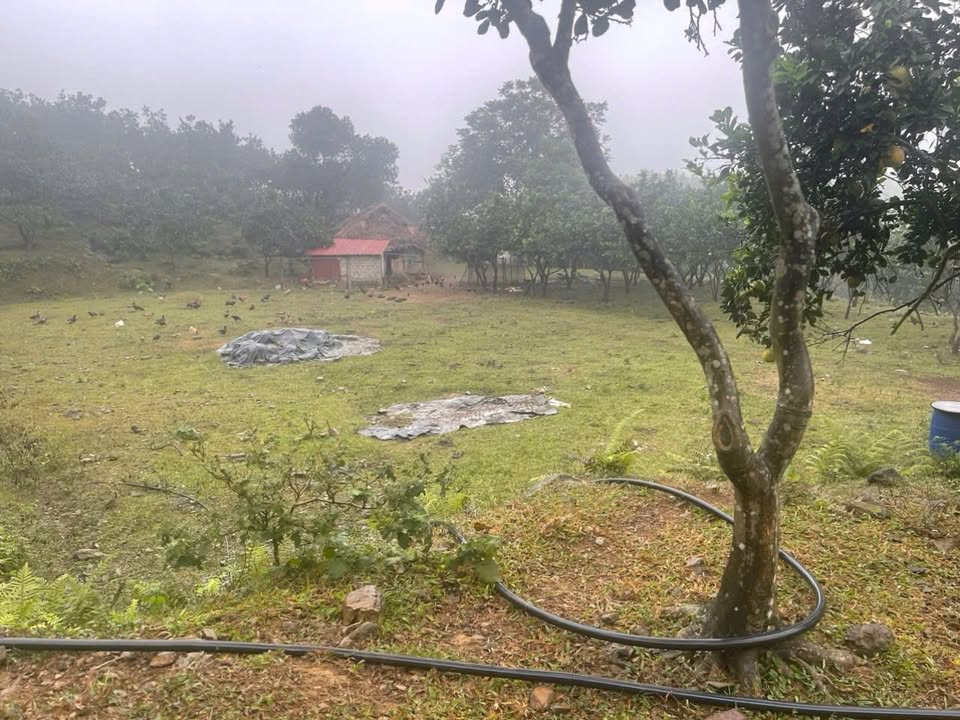 Farm Phúc Khánh, Yên Lập, Phú Thọ 8.6ha - Trang trại lý tưởng cho bạn!