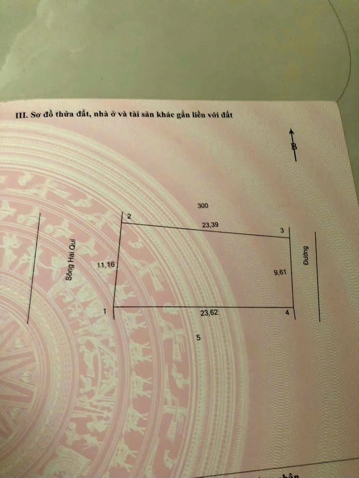 Đất thổ cư 243.9m² tại Thuận An, Bình Minh - Giá chỉ 1 tỷ!