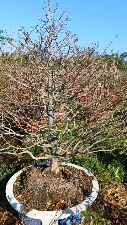 Đất nền Tây Sơn, Bình Nghi 18200m² giá 3.5 tỷ - Sổ đỏ chính chủ, phù hợp kho xưởng!