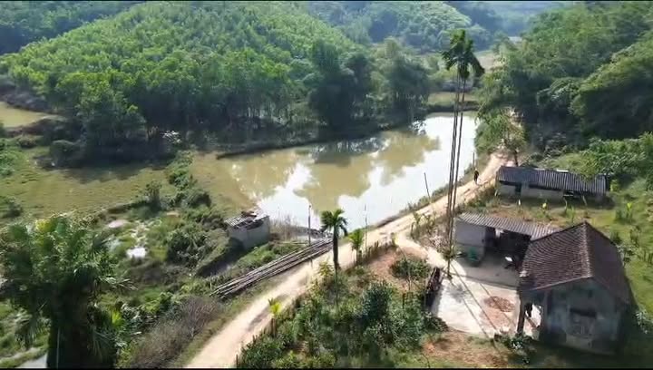 Đất ở Như Thanh 2000m² - Sẵn nhà C4, giá thỏa thuận!