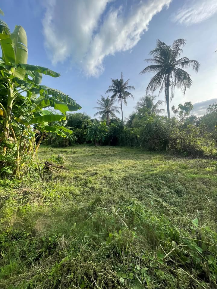 Đất Farm Thôn Vinh Huề, Vạn Ninh 800m² chỉ 690 triệu - Tiềm năng đầu tư lớn!