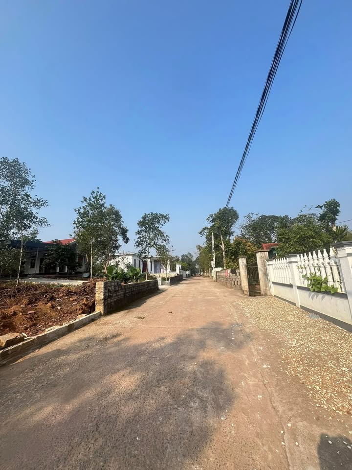 Đất nền tại Minh Sơn, Ngọc Lặc, 180m² giá chỉ 5xx triệu - Cơ hội đầu tư hấp dẫn!