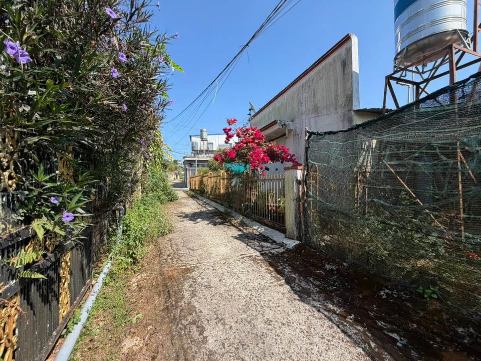 Đất nền B'Lao, Bảo Lộc 210m² giá 1.6 tỷ - Đường ô tô vào tận nơi!