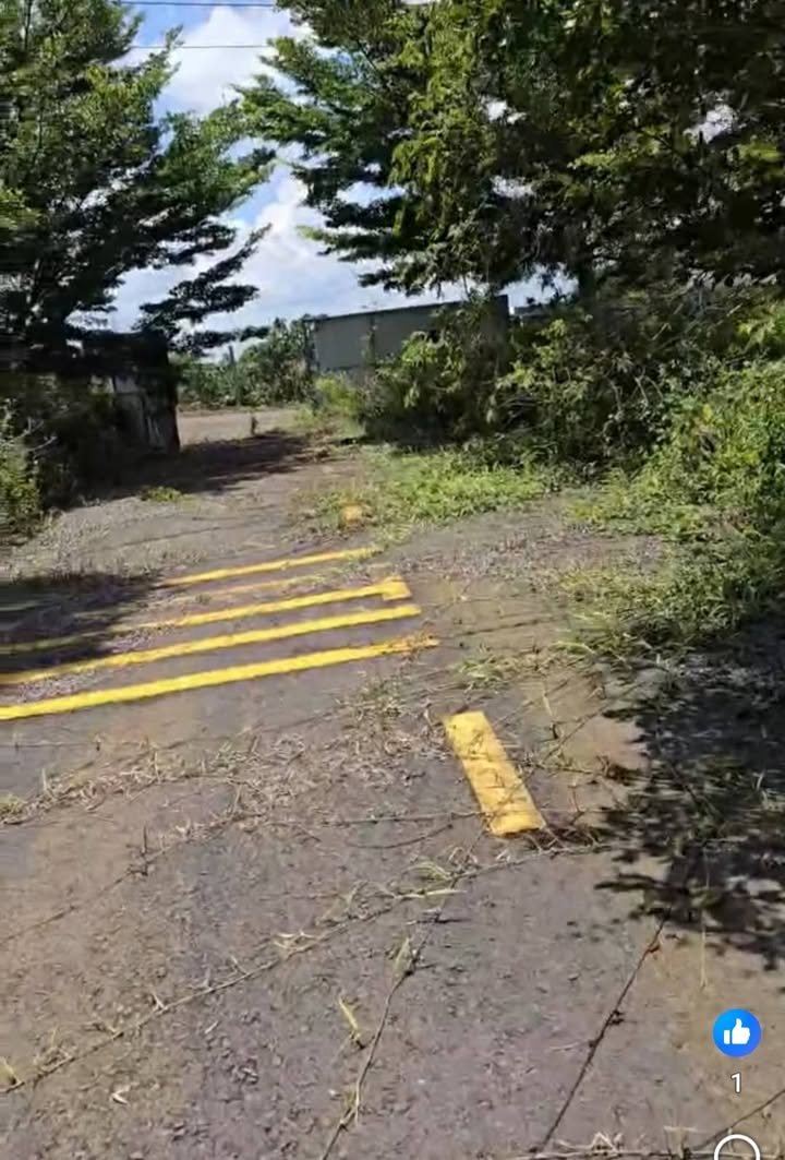 Lô đất thổ cư 125m² tại Lộc An, Bảo Lâm – Giá chỉ 480 triệu, chính chủ bán gấp!