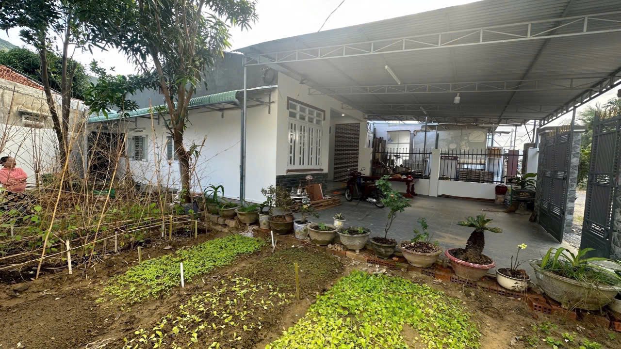 Nhà cấp 4 mặt tiền đường Sông Cầu - Diên An 318m² giá 3.8 tỷ - Sân vườn thoáng mát!