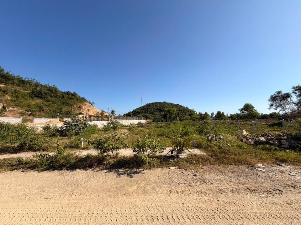 Đất nền Phước Đồng Nha Trang 120m² giá 3.99 tỷ - Đầu tư sinh lời hấp dẫn!