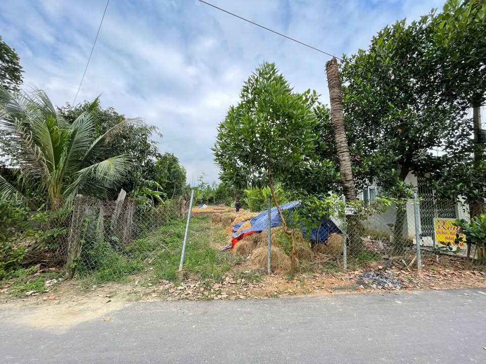 Lô đất Diên Hòa 518m² giá 2.45 tỷ - Bán gấp, cơ hội đầu tư tuyệt vời!