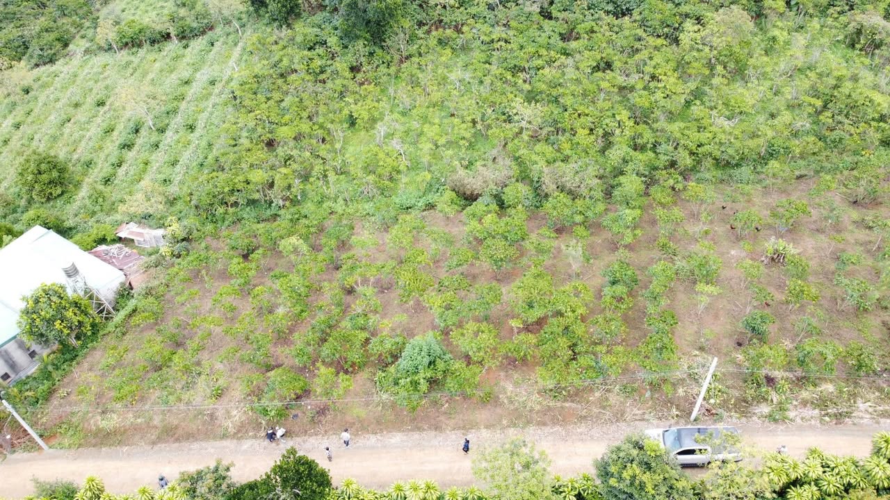 Đất thổ cư Lộc An, 125m² chỉ 560 triệu - Cơ hội đầu tư không thể bỏ lỡ!