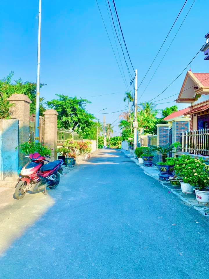 Đất nền thôn Quốc Tuấn, An Lão 85m² giá chỉ 1 tỷ - Đầu tư sinh lời ngay!