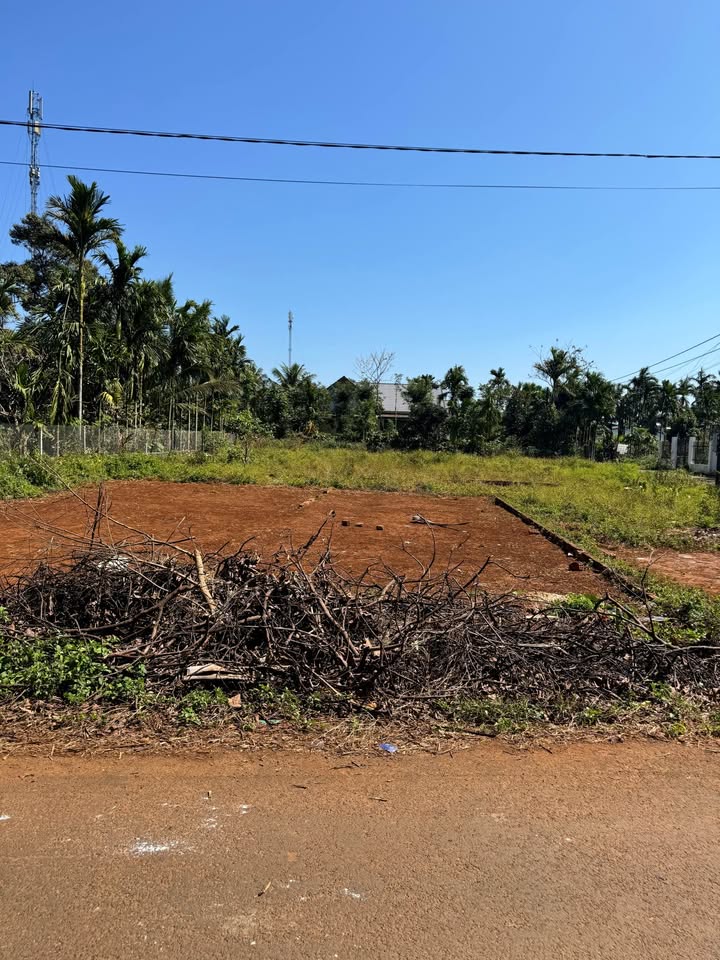 Đất hẻm 171 Nguyễn Thái Bình, Tân Lập 110m² - Giá chỉ 1.1 tỷ, thích hợp đầu tư!