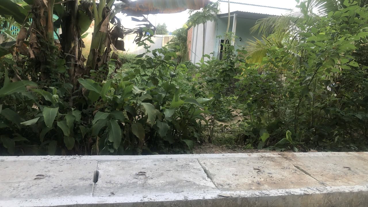 Đất thổ cư 125m² Vĩnh Tân giá 1.5 tỷ - Cơ hội đầu tư tuyệt vời!