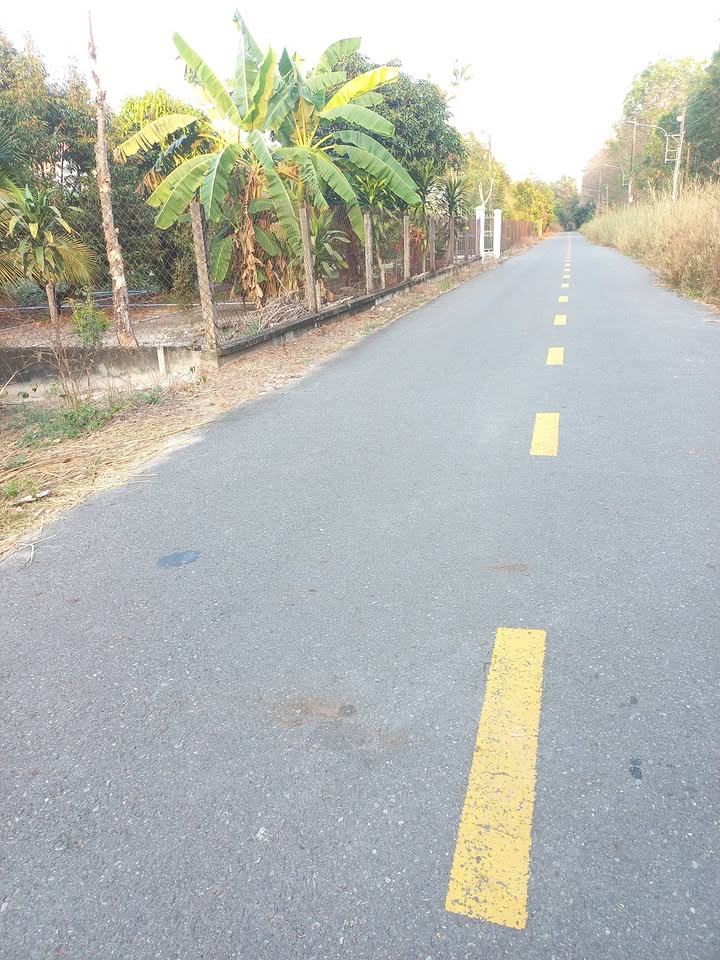 Đất nền 770m² đường 73, Huyện Bình Chánh - Cơ hội đầu tư không thể bỏ lỡ!