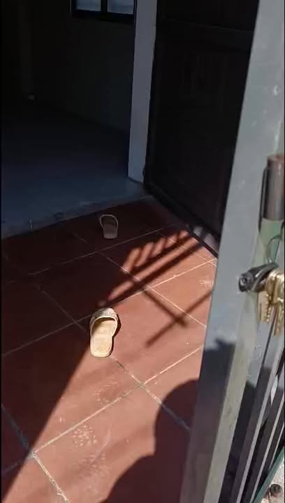 Nhà cho thuê tại xã Tân Mỹ, huyện Bắc Tân Uyên 1 phòng - Nhà mới đẹp giá chỉ 3.2 triệu