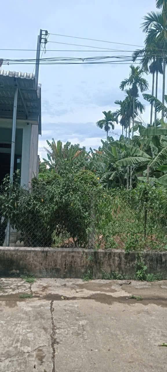 Đất ở Phước Xuân, Đức Thạnh 245m² giá 400 triệu - Đường bê tông ô tô thuận lợi!