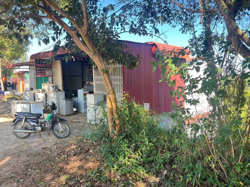 Đất nền Hùng Vương, Gia Nghĩa 5000m² giá 2.3 tỷ - Đầu tư sinh lời ngay!