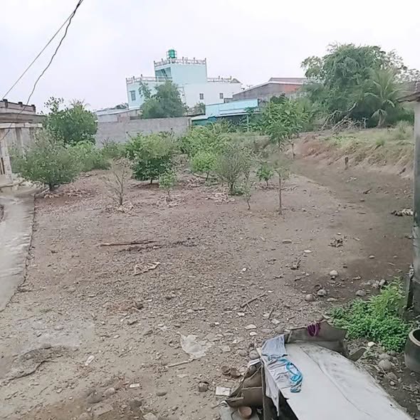 Đất mặt tiền đường tỉnh lộ 830, xã Mỹ Lệ, 2500m² - Cơ hội đầu tư tuyệt vời!