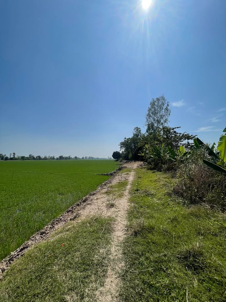 Đất nông nghiệp 7.827m² tại Long Xuyên - Giá chỉ 32.77 tỷ VND - Thương lượng hấp dẫn!