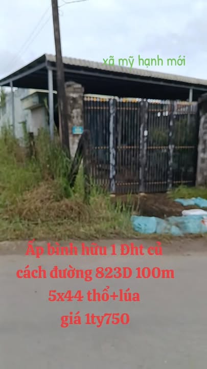 Nhà riêng ấp Bình Hữu 1, Đức Hòa 220m² giá 1.75 tỷ - Chính chủ bán gấp!