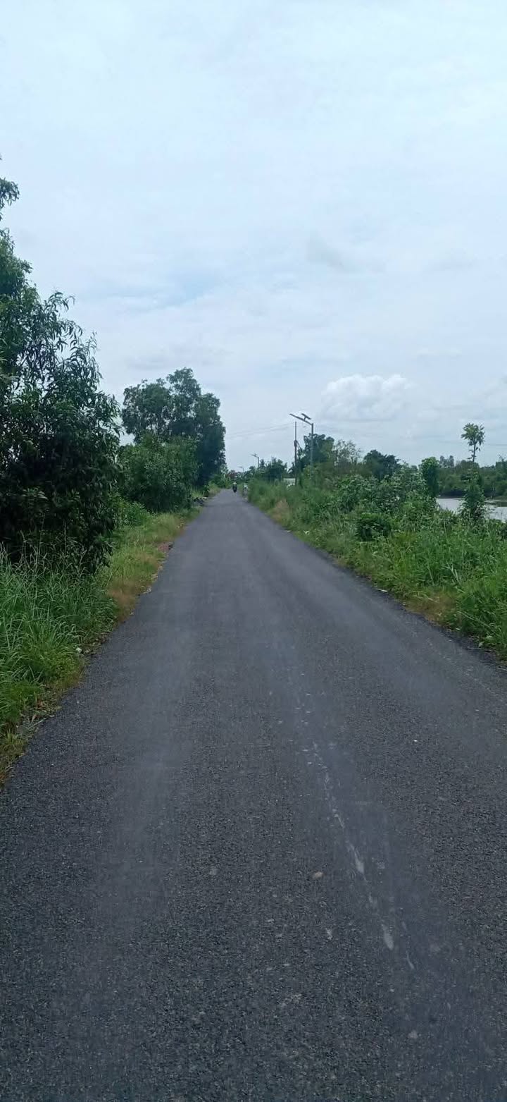 Đất vườn 8500m² tại Ấp 3, Tân Thành, Thủ Thừa - Giá chỉ 3.8 tỷ, thích hợp đầu tư!