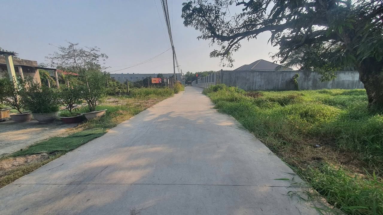 Đất thổ cư 130m² tại Đức Hòa Hạ - Gần Trường Cấp 3 Võ Văn Tần chỉ 1.15 tỷ!