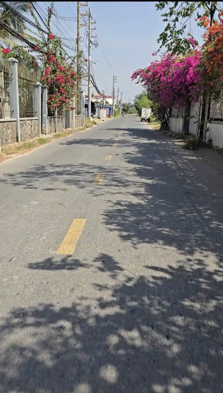 Đất thổ cư 1196m² mặt tiền đường Nhựa Giồng Lớn - Chỉ 295 triệu