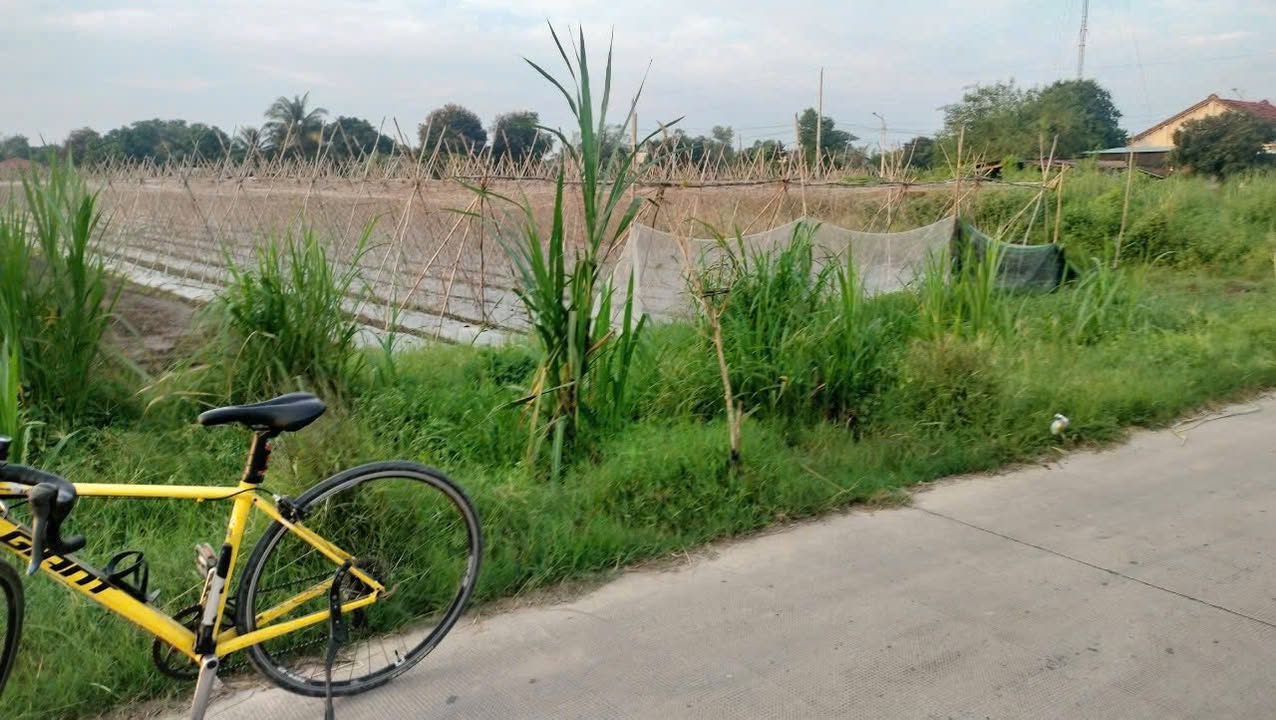 Đất thổ vườn 6600m² tại Đức Lập Hạ, Đức Hòa - Giá 3.x tỷ, ô tô vào tận nơi!