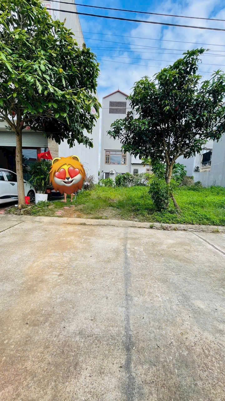 Đất nền khu đô thị Nam Hoàng Đồng 87.5m² giá 2 tỷ - Đầu tư sinh lời ngay!