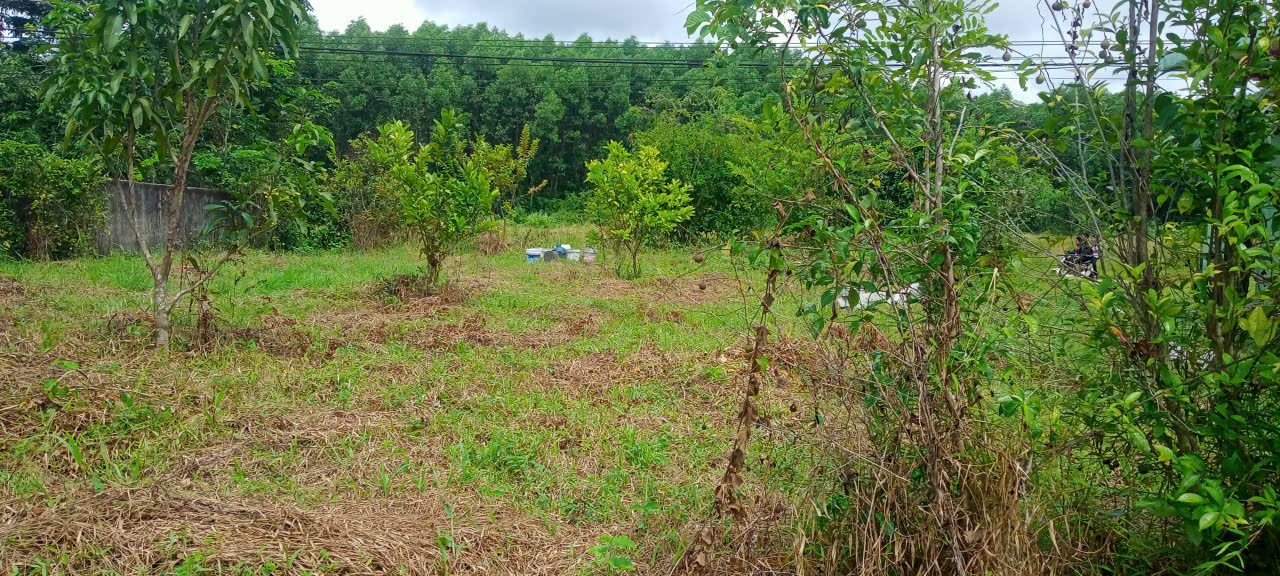 Đất thổ cư 150m² tại Bình Điền, Bình Chánh 6.2 tỷ - Vị trí đắc địa gần trung tâm