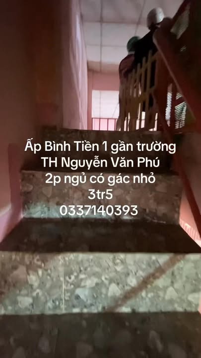 Nhà nguyên căn tại Ấp Bình Tiền 1, Đức Hòa - Chỉ 3.5 triệu/tháng!