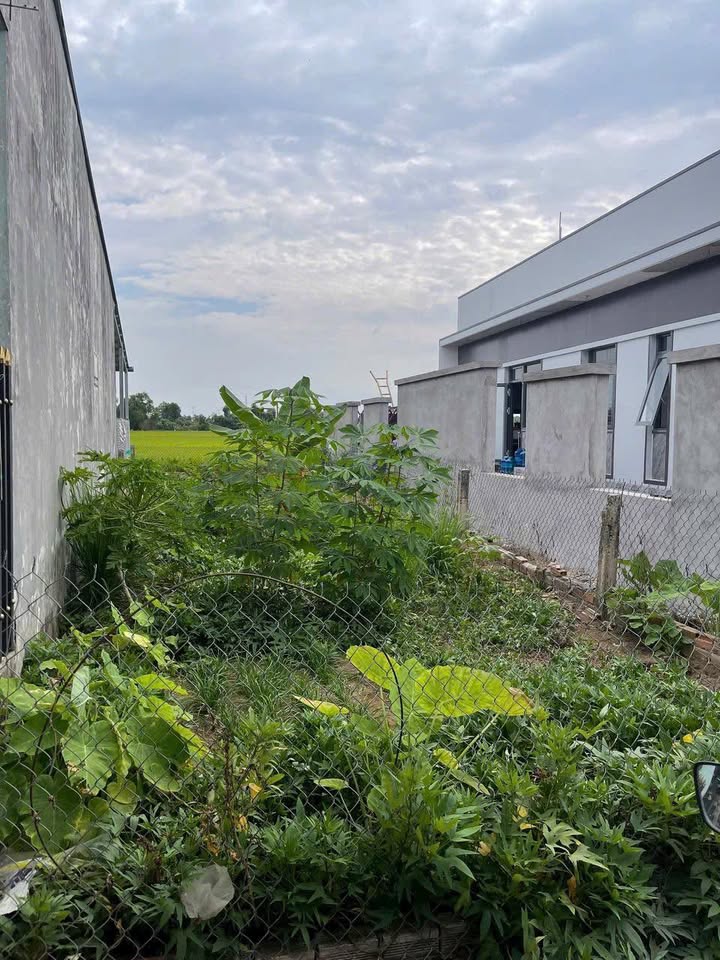 Đất thổ cư 100m² tại Ấp 6 Thạnh Đức - Bến Lức - Giá chỉ 999 triệu - Sổ hồng riêng!