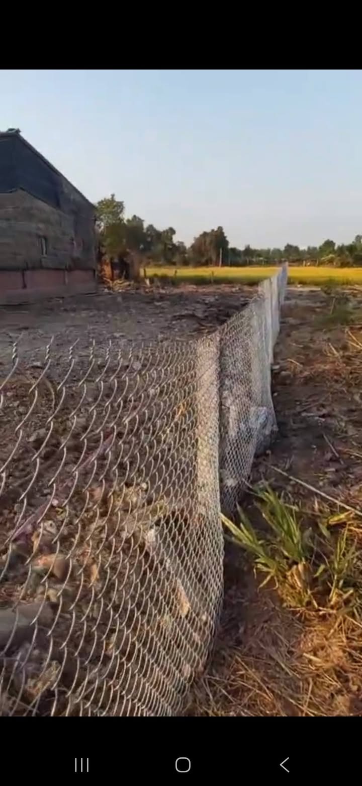 Đất thổ cư 250m² tại đường tỉnh 832, Bình Trinh Đông, Tân Trụ - Giá 4.6 tỷ, cơ hội đầu tư tốt!