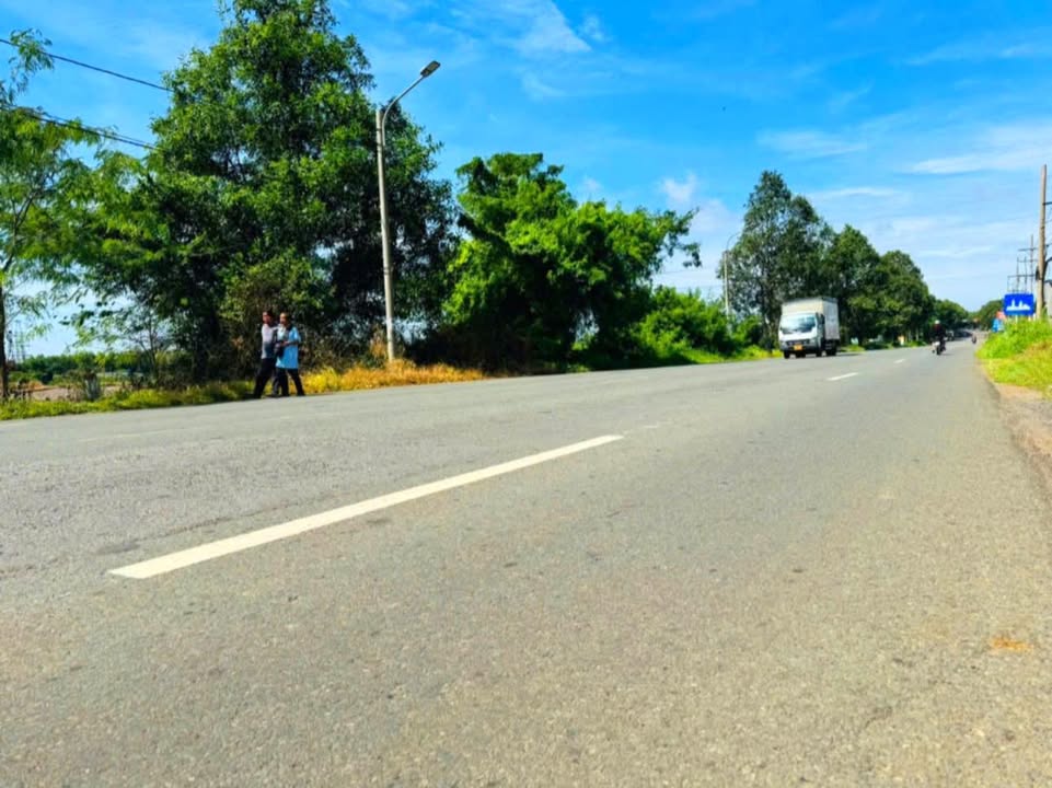 Đất nền mặt tiền Quốc lộ 55, Đất Đỏ 205m² giá 2.45 tỷ - Cơ hội đầu tư hấp dẫn!